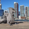 MVD Emerging Dragon 500x280cm MR2